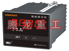 溫度表、數(shù)字顯示儀、濕度表