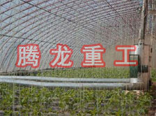 大棚花卉供暖設(shè)備、大棚卉采暖設(shè)備、大棚花卉取暖設(shè)備