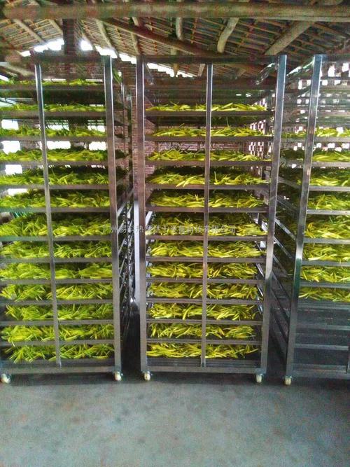 黃花菜烘干機(jī)、黃花菜烘干設(shè)備、黃花菜干燥機(jī)、黃花菜干燥設(shè)備、